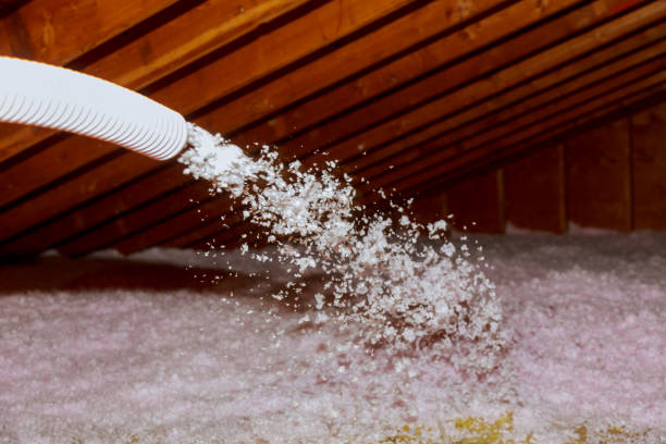 Best Specialized Insulation Services in Zellwood, FL