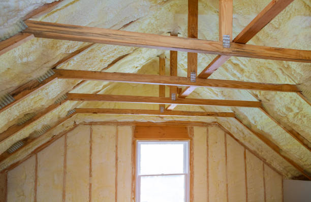 Best Geographic-Specific Insulation Services in Zellwood, FL
