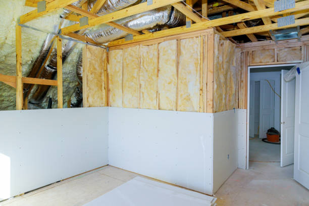 Best Energy Efficiency Insulation in Zellwood, FL
