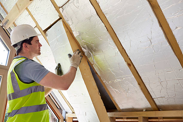 Best Blown-in Insulation in Zellwood, FL
