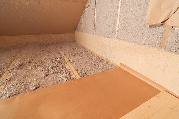 Best Eco-Friendly Insulation in Zellwood, FL