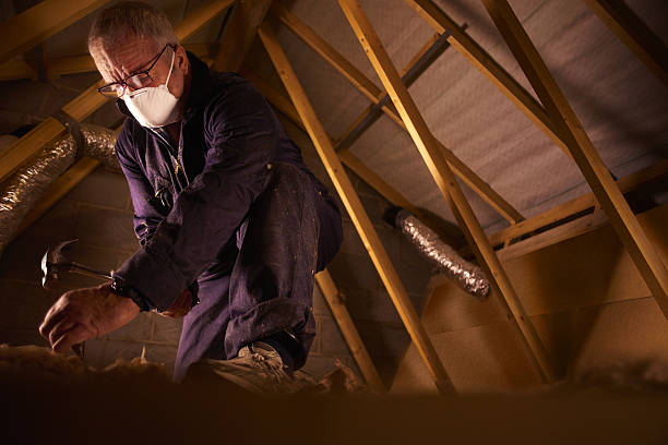 Types of Insulation We Offer in Zellwood, FL
