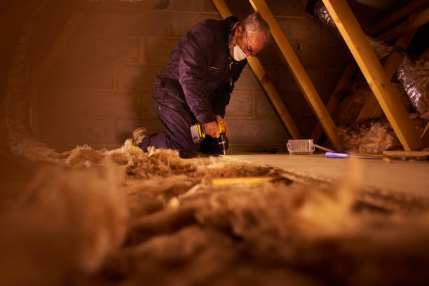 Best Insulation Maintenance and Repair in Zellwood, FL